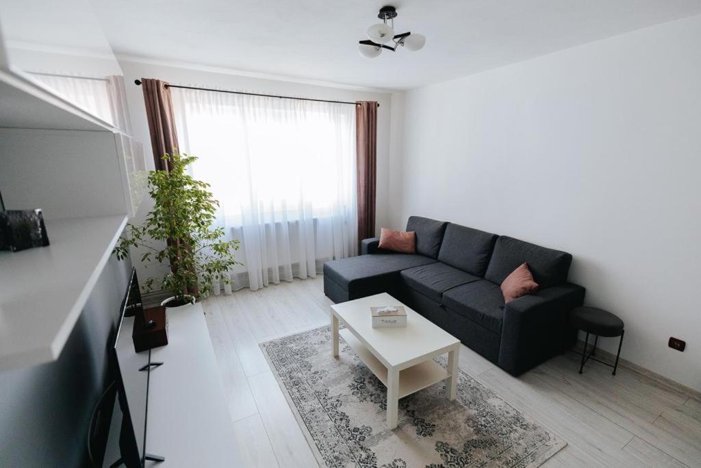 Scandinavian House Apartman Zsilvásárhely Kültér fotó